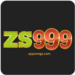ZS999