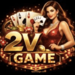 2V Game