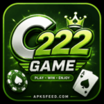 C222 GAME